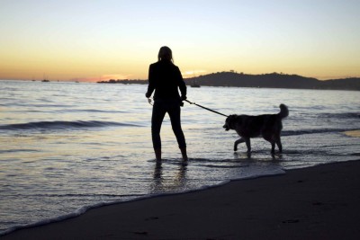 dog-friendly-beaches