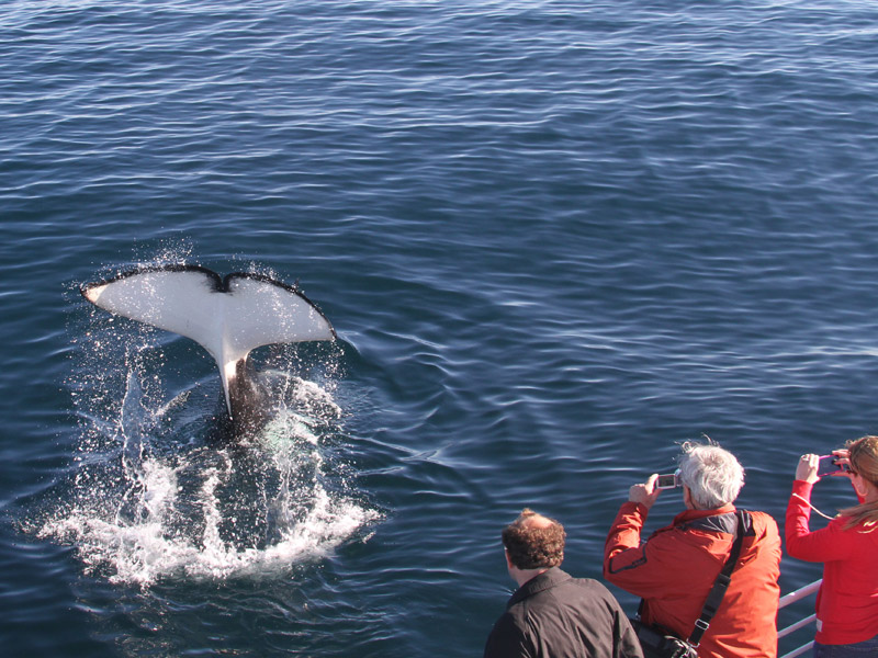 orca-2013-01-18-sb-channel-06