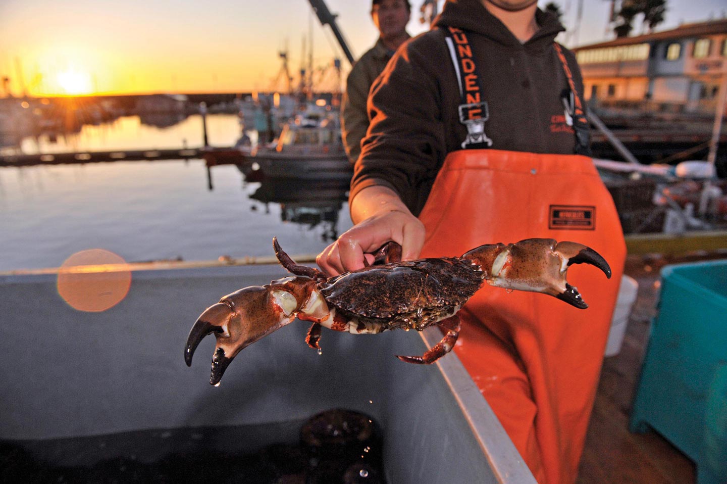 Guide To Seafood In Santa Barbara Restaurants