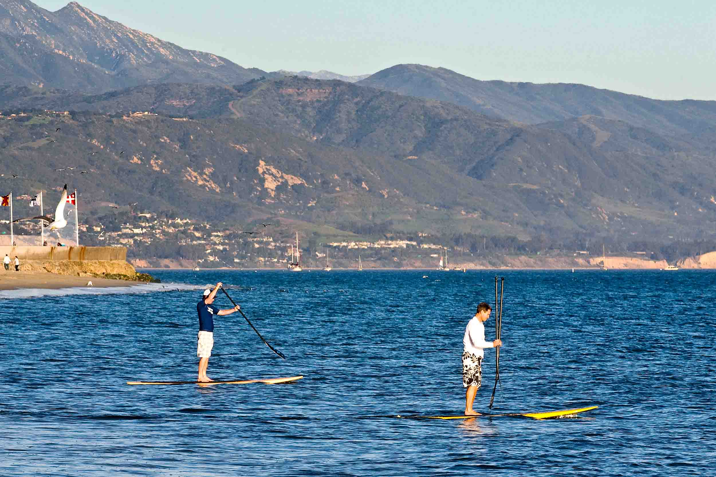Local S Guide To Santa Barbara Waterfront Activities