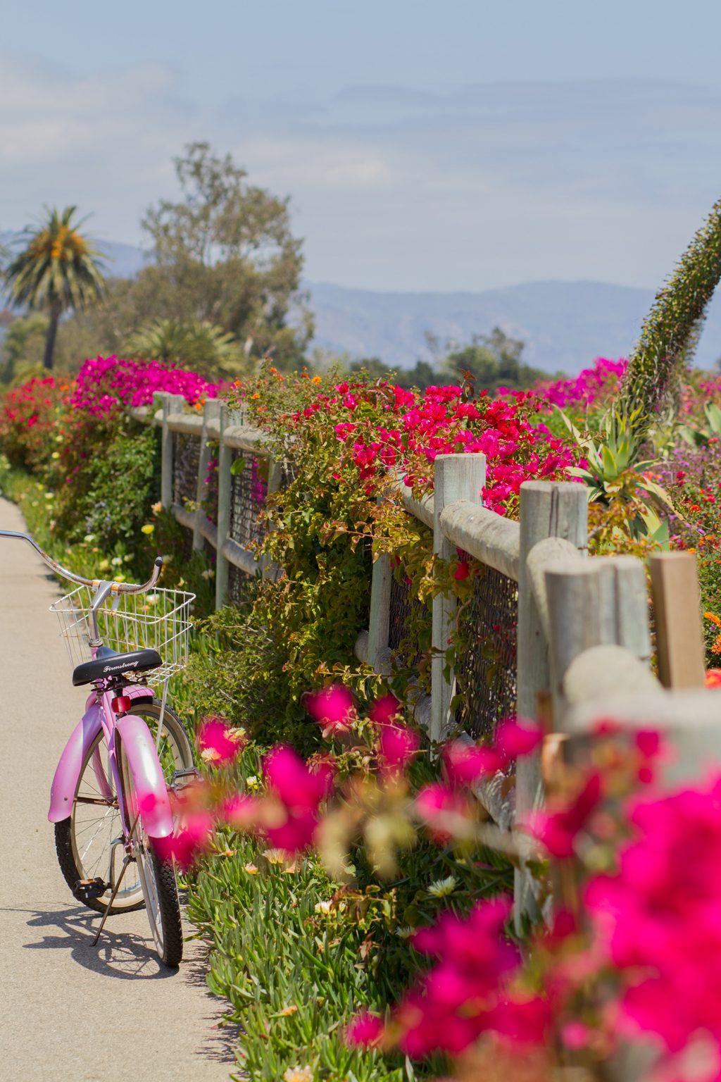 Biking In Santa Barbara Trails Bike Paths Als Erfly Beach Bike Path