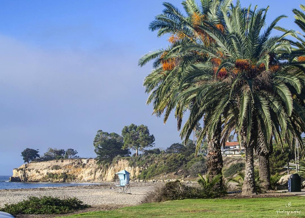 leadbetter beach santa barbara