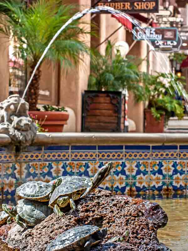 Shopping in Santa Barbara Malls, Boutiques, Department Stores