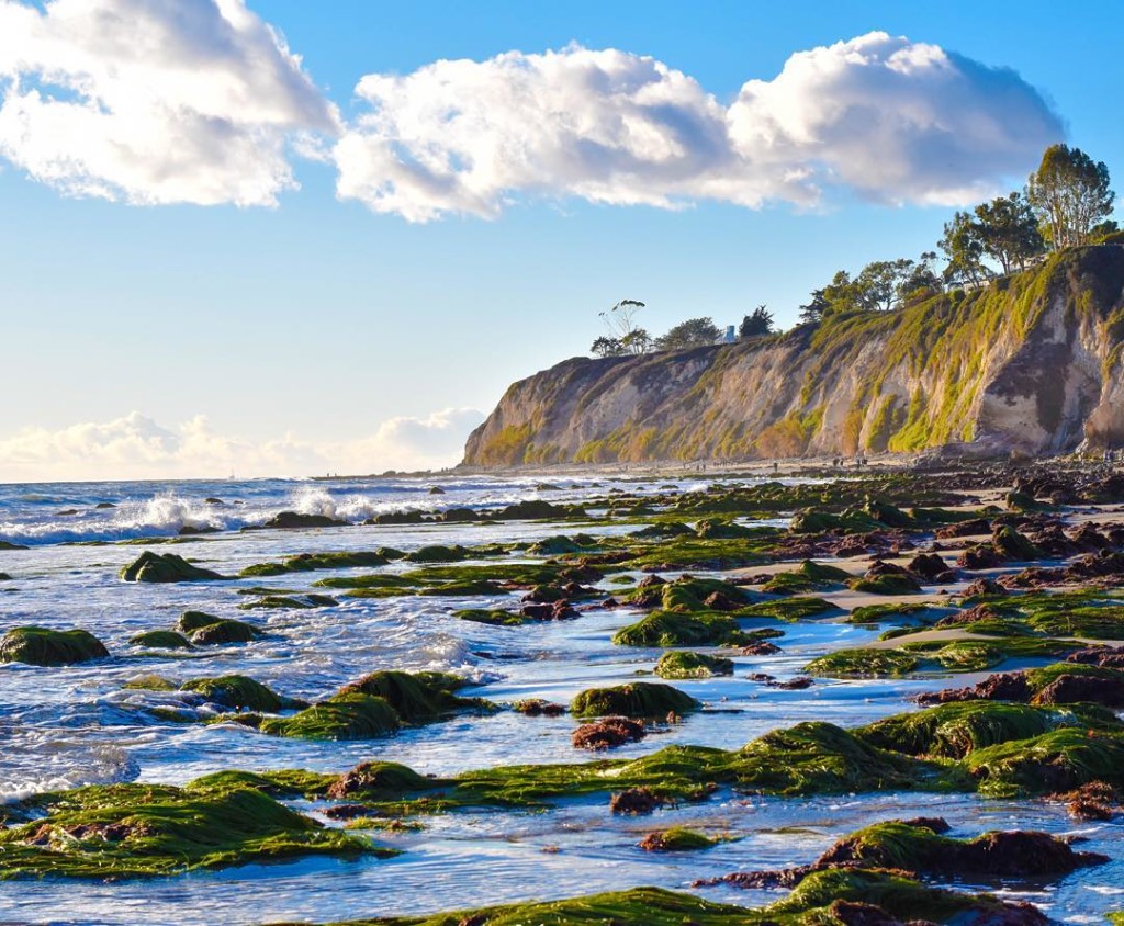 shoreline beach santa barbara