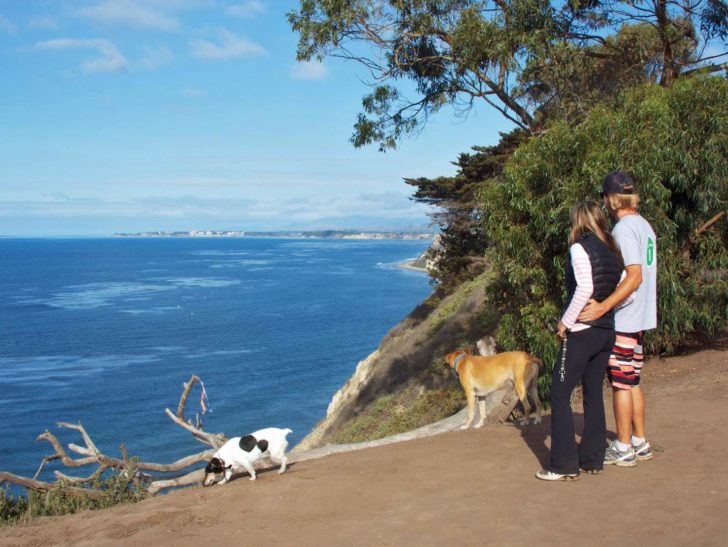 Douglas Family Preserve