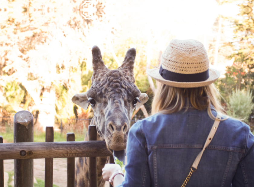 Santa Barbara Zoo Visit Santa Barbara