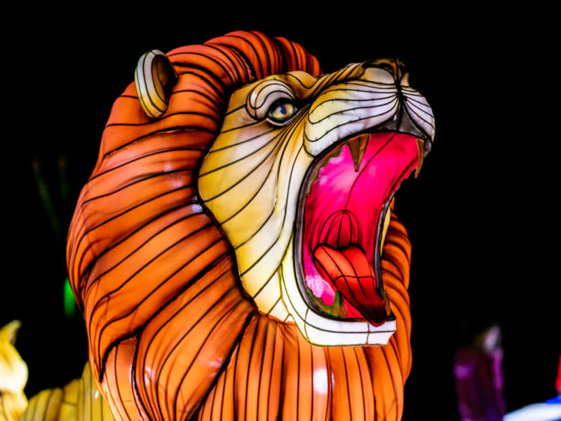 ZooLights Visit Santa Barbara