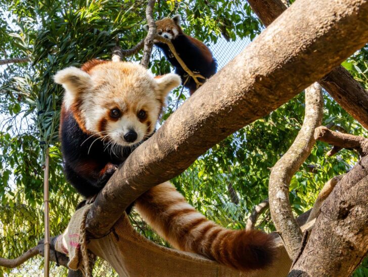 Santa Barbara Zoo