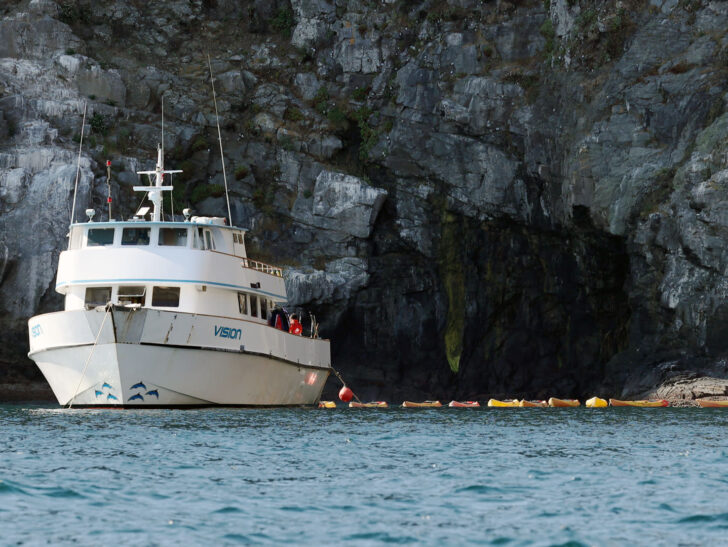 Channel Islands Expeditions