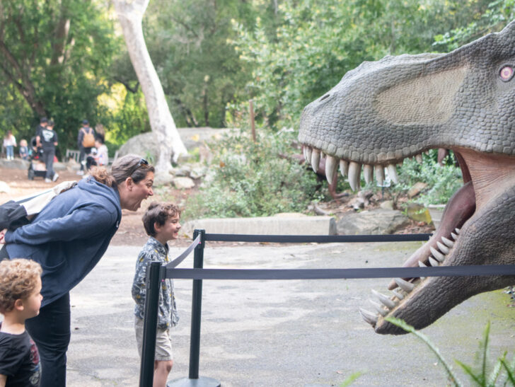 Santa Barbara Museum of Natural History