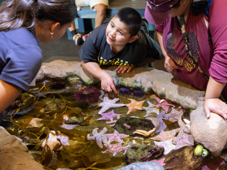 Santa Barbara Museum of Natural History Sea Center